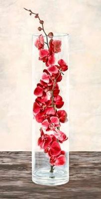 Arrangement of orchids Poster Print by Shin Mills (10 x 20)