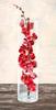 Arrangement of orchids Poster Print by Shin Mills (10 x 20) view 1
