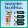 Zevia Zero Sugar Tea, Black Tea with Raspberry, 12 oz Cans (12-Pack)  Naturally Sweetened, Zero Calorie Sugar Free - Non-GMO Project Verified, Gluten-Free, Vegan view 4
