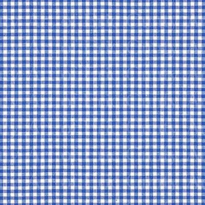 1/2 Sheet - Blue Plaid Birthday - D22455 - Edible Cake/Cupcake Party Topper - D22455
