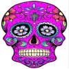 1/2 Sheet - Pink Sugar Skull Halloween Birthday - D22661 - Edible Cake/Cupcake Party Topper - D22661 view 1