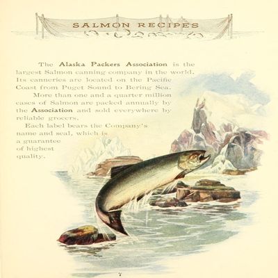 Canned Salmon Recipes 1900 Alaska Packers Association Poster Print (24 x 36)