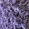 Black Cat Avenue 2 LB Lavender Crinkle Cut Paper Shred Filler for Gift Wrap and Basket Filler view 1