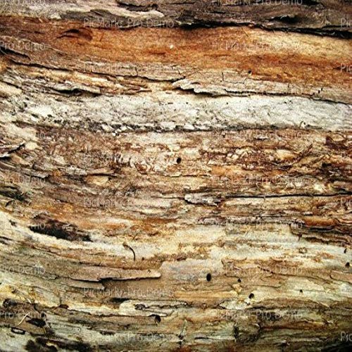1/4 Sheet - Natural Old Wood Background Birthday - D7524 - Edible Cake/Cupcake Party Topper