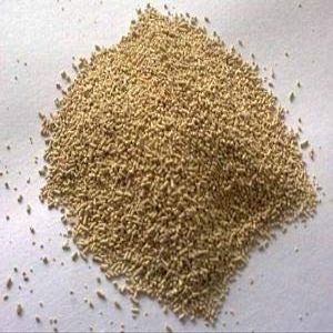 Australian Brewer's Ale Yeast - 7 grams