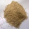 Australian Brewer's Ale Yeast - 7 grams view 1