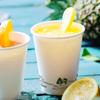 BIOZOYG Paper Cups 50 Pack 12 oz Coffee Cups White - Disposable Cups Biodegradable Water-based Barrier - To Go Cups Solo Cups with Eco-Icons for Coffee, Water, Ice Tea view 3
