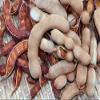 Tamarind, 16 Ounce view 3