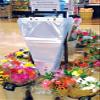 A&A Flower Bouquet Unprinted 37 Micron Clear Cellophane Bags Plastic Sleeve Bag 100 pcs (13x25x4 in.) view 3