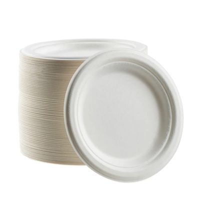 EcoQuality 100% Compostable 9-Inch Plates [250 Count] - Natural SugarCane Biodegradable Compostable Bagasse Bamboo Environmentally Friendly - Plates for Dessert, Appetizers, Birthdays, Microwavable