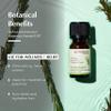 AROMAFUME Rosemary Essential Oil - 100% Natural, Therapeutic Grade Essential Oils - Pure, Woodsy Aromatherapy Oil for Meditation and Home Diffusers - Gifts for Her - 10ml view 2