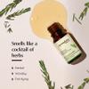 AROMAFUME Rosemary Essential Oil - 100% Natural, Therapeutic Grade Essential Oils - Pure, Woodsy Aromatherapy Oil for Meditation and Home Diffusers - Gifts for Her - 10ml view 3