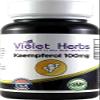 Kaempferol 100mg 60 Count Bottle,Capsule,Kaempferia Galangal, Rice Flour, Magnesium Sterate, Gelatin Capsule view 1