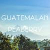 Exotic Peaberry Coffee Gift Box, Whole Bean, Fresh Roasted, 4 X 16-ounces, Tanzania, Costa Rica, Brazil and Bolivia view 3