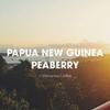 Exotic Peaberry Coffee Gift Box, Whole Bean, Fresh Roasted, 4 X 16-ounces, Tanzania, Costa Rica, Brazil and Bolivia view 4