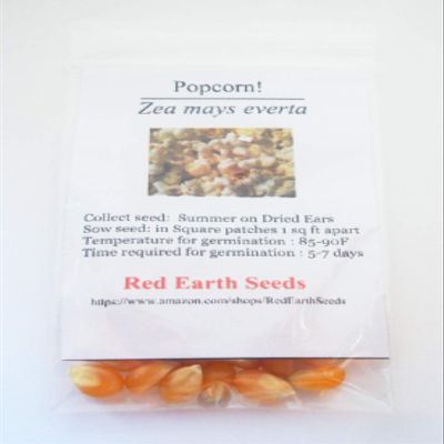 50 Pop Corn - Zea mays everta kernels (Organically Grown)