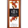 1883 Pumpkin Spice Syrup for Coffee and Drinks  Made in France  1 Liter Plastic Bottle view 2