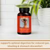 Solluna by Kimberly Snyder Digestive Enzymes Lipase, Amylase, Protease, Alpha-Galactosidase, Cellulase for Digestive Health, Nutrient Absorption, Stomach Pain, Gas & Bloating (90CT) Vegan & Non-GMO view 4