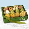 A Gift Inside Fruitful Trio Grande Fruit Gift view 2