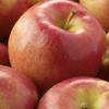 A Gift Inside Fruitful Trio Deluxe Fruit Gift view 4