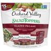 Orchard Valley Harvest Glazed Pecans Salad Toppers, 0.85 Ounce Bags (Pack of 15), with Cranberries and Pepitas, Non-GMO, No Artificial Ingredients, Healthy Snacks for Adults view 1