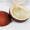 NatureVit 400 gm Dry Coconuts Halves (Copra Dried) view 4