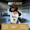 Ambrosia Planta - Plant-Based Protein Powder 20g | Dairy Free Vegan Protein Powder with BCAA Amino Acids | Keto-Friendly, No Added Sugar | 25 Servings | Banana Maple view 4
