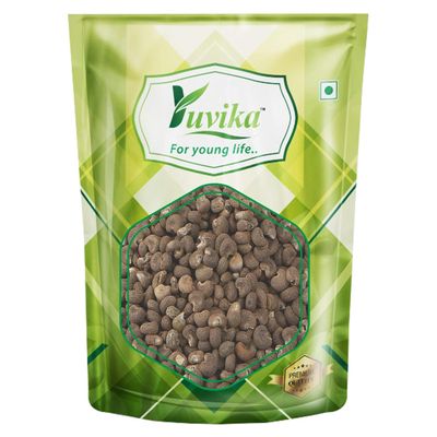 Yuvika Herbs YUVIKA Mushk Dana - Ambrette Seeds (100 GM)