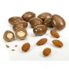 ANDY ANAND CHOCOLATIER Luxurious Gourmet Chocolate Covered Almonds, Perfect for Corporate Gifts & Special Occasions, All-Natural Ingredients - 1 lb view 3