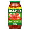 Dolmio Bolognese Smooth Original Pasta Sauce 750g view 1