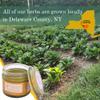 Catskills Comfrey, Arnica & Calendula (2oz)  3 in 1 Comfrey Salve for Bone Healing Organic  Comfrey Oil Cream, Only 4 Natural Ingredients  Home-Grown & Home-Made, Multi-use Natural Skincare view 3