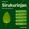 YOGIS HERBS Sirukurinjan Powder (Gymnema sylvestre / Meshashringi / Gurmar ) 1LB  Fresh & Pure view 2