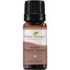 Plant Therapy Thyme Thymol Organic Essential Oil 10 mL (1/3 oz) 100% Pure, Undiluted, Therapeutic Grade view 1