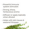 Plant Therapy Thyme Thymol Organic Essential Oil 10 mL (1/3 oz) 100% Pure, Undiluted, Therapeutic Grade view 2