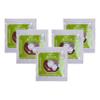 BIO Yogurt Starter Culture- Pack of 5 Sachets with Bifidobacterium and Acidophilus view 1