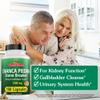 Chanca Piedra 360 Capsules Stone Breaker Kidney Cleanse Detox & Repair, Gallbladder Supplements - All-Natural Vegan Pills Chancapiedra Stonebreaker Kidney Stones Dissolver view 3