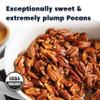 Wilderness Poets, Fancy Mammoth Pecan Halves - Organic, Raw, Large Halves, Sweet and Buttery. No Salt, Shelled. (8 Ounce - 227g) view 4