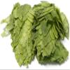 Cascade Leaf Hops 1 lb view 2