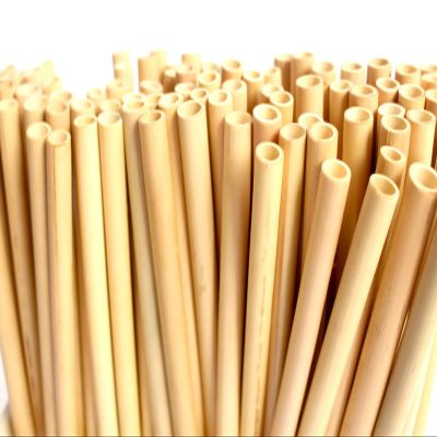 Bamboo Straws Bulk Reusable 8", Bamboo Drinking Straws, Personalized Bamboo Straws Favors for Guests by TrueSOURCE (40 Pieces, Plain)