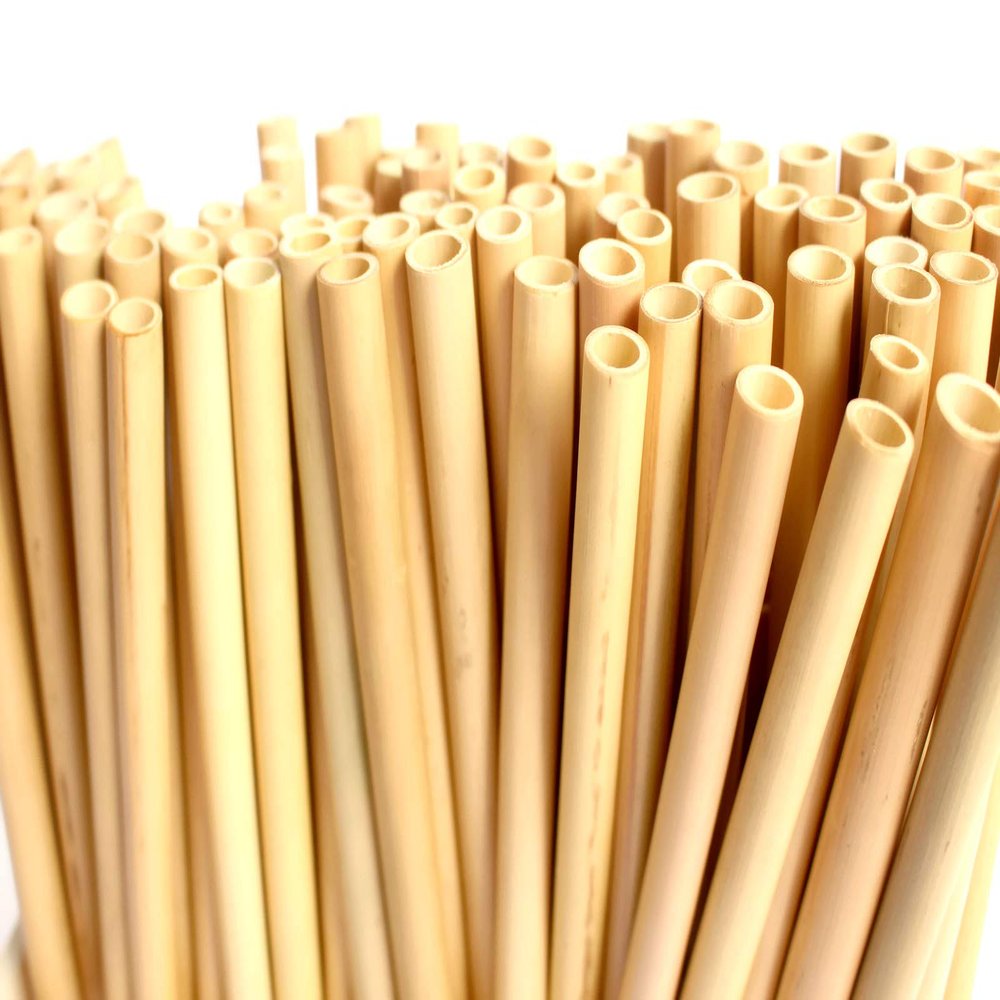 Bamboo Straws Bulk Reusable 8", Bamboo Drinking Straws, Personalized Bamboo Straws Favors for Guests by TrueSOURCE (40 Pieces, Plain)