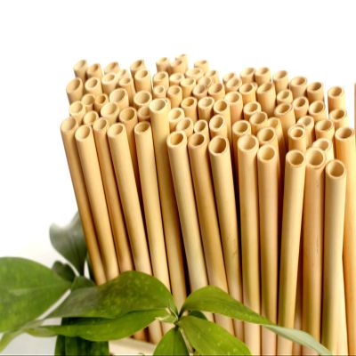 Bamboo Straws Bulk Reusable 8", Bamboo Drinking Straws, Personalized Bamboo Straws Favors for Guests by TrueSOURCE (190 Pieces, Plain)
