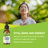 Vimergy USDA Organic Lemon Balm Tincture Herbal Supplement  Can be Used in Tea - Non-GMO, Alcohol-Free  30 mL (1 mL/Serving) view 2