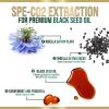 Black Seed Oil Capsules 1000mg - Premium Nigella Sativa Blackseed, Pure Natural Black Cumin Seed Oil & Antioxidant for Skin & Immune Support - Gluten Free, Bottled in USA Supplement - 60 Softgels view 3