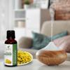 Helichrysum Oil 100% Pure Undiluted Natural Uncut Therapeutic Grade Steam Distilled Essential Oils for Skin, Hair and Aromatherapy 5000ML view 4