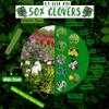 No-Till Cover Crop 13-Seed Mix (1 lb. Bag): [50% Clovers Plus Fenugreek, Vetch, Flax, Cowpeas, Buckwheat, Forage Peas, Millet, Lentils, Crimson Clover, Sweet Yellow, White Clover, Medium Red Clover] view 2