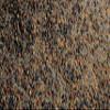 No-Till Cover Crop 13-Seed Mix (1 lb. Bag): [50% Clovers Plus Fenugreek, Vetch, Flax, Cowpeas, Buckwheat, Forage Peas, Millet, Lentils, Crimson Clover, Sweet Yellow, White Clover, Medium Red Clover] view 3