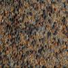 No-Till Cover Crop 13-Seed Mix (1 lb. Bag): [50% Clovers Plus Fenugreek, Vetch, Flax, Cowpeas, Buckwheat, Forage Peas, Millet, Lentils, Crimson Clover, Sweet Yellow, White Clover, Medium Red Clover] view 4