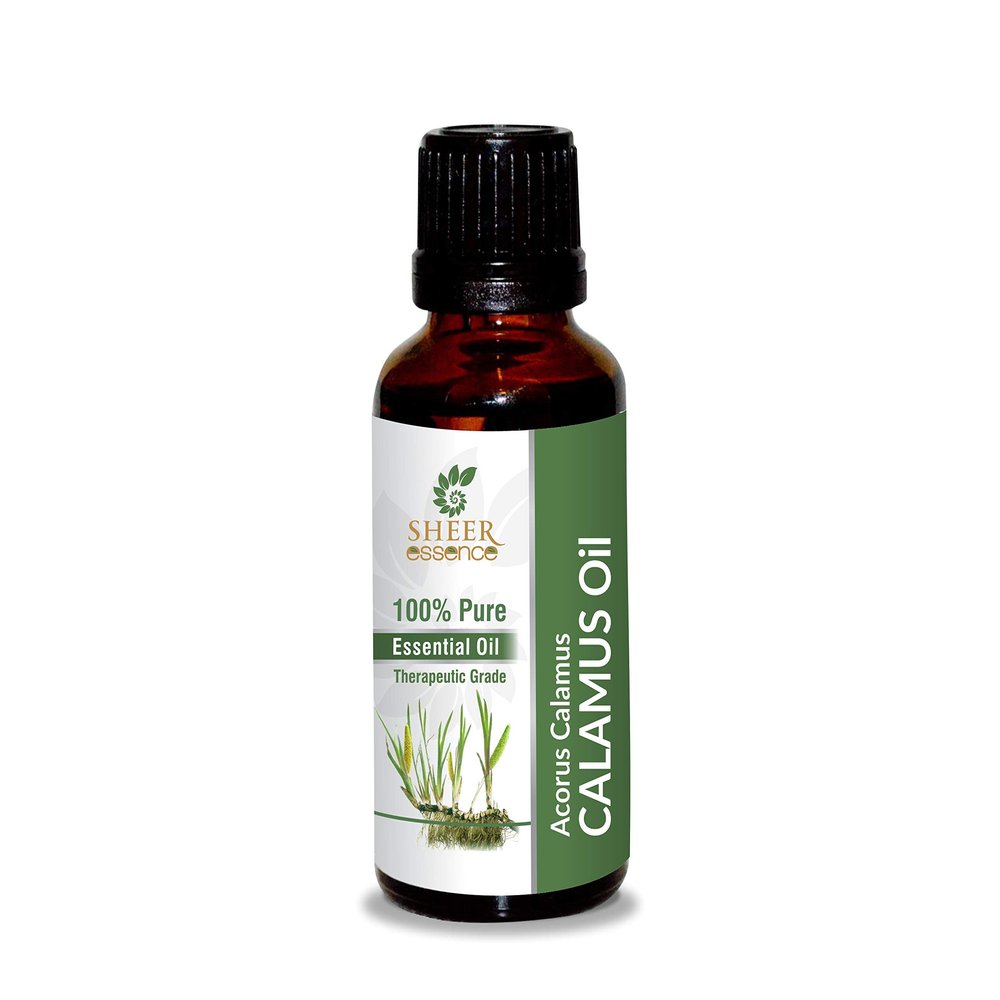 Calamus Oil 100% Pure Undiluted Natural Uncut Therapeutic Grade Steam Distilled Essential Oils for Skin, Hair and Aromatherapy 1000ML