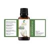 Calamus Oil 100% Pure Undiluted Natural Uncut Therapeutic Grade Steam Distilled Essential Oils for Skin, Hair and Aromatherapy 1000ML view 2