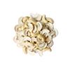 Food to Live Organic Cashew Pieces, 8 Ounces Non-GMO, Kosher, Vegan, Unsalted, Unroasted, Bulk view 3